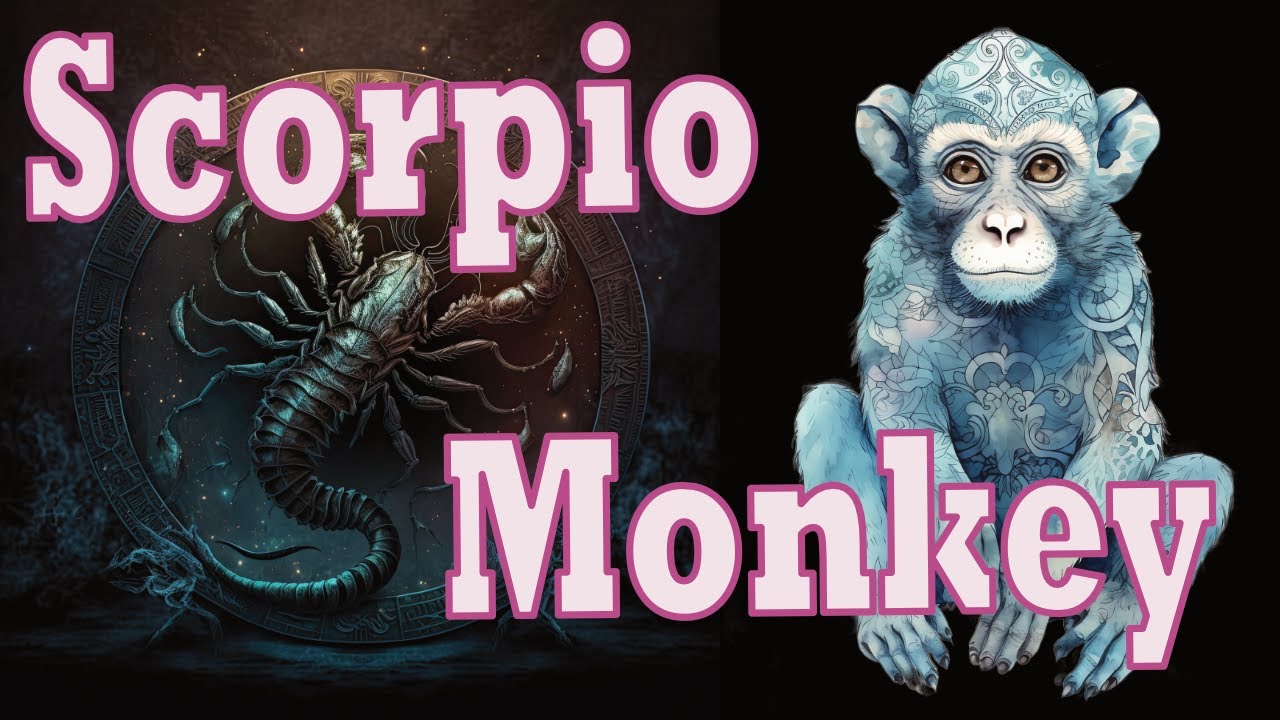 Scorpio Monkey Discussion