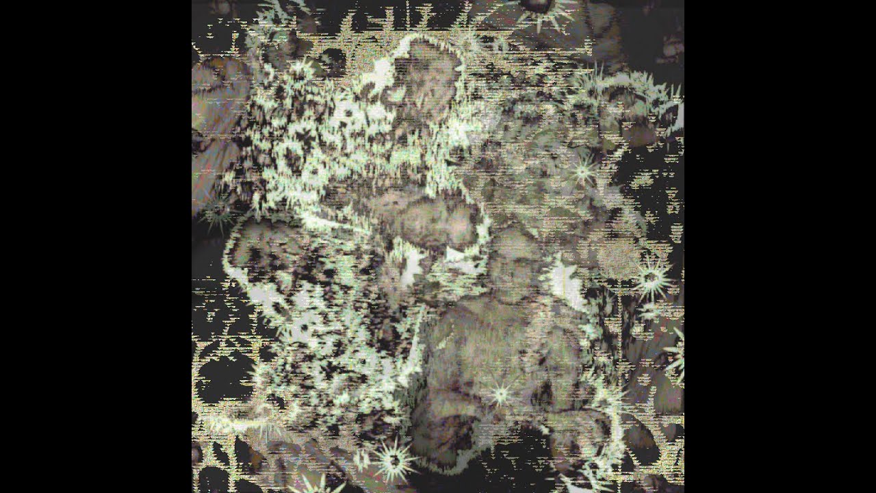 handbreak (feat. bohomazz)