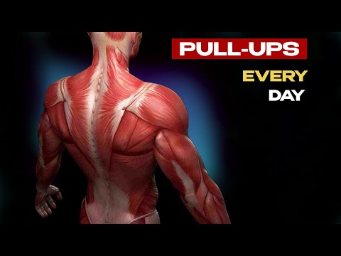 What Happens to Your Body If You Pull Up on the Chinning Bar Every Day