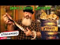 Snakes &amp; Scotch Livestream: Celebrating 50k Subs + Huge Q&amp;A