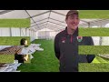 Euro Cup 2024 Player Interviews