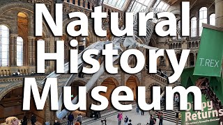 Inside The Natural History Museum In London, England