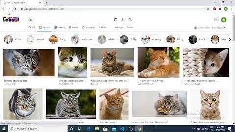 CS50 Web 2020 Project 0 -Search