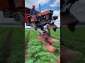 Farming with style! 🚜👢 This giant-boot tractor makes the job look easy and#CreativeFarming #model