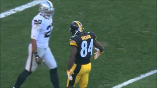 Ab with another outstanding performance, hauling in a whopped 17
catches for 284 yards!!!!!are you kidding me???!!...."fair use" "no
copyright intended"..