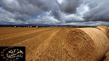 تلاوة جميلة | سورة الزمر ~ للقاري سلمان العتيبي