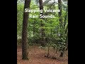 Thirty-seven seconds of wild noise from a fossil environment. Grounding and empowering.