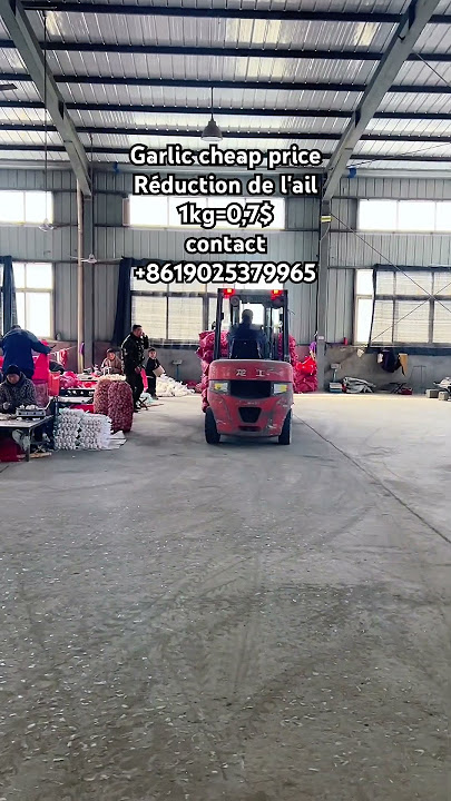 Garlic cheap price./ Ail à bas prix./ Ajo precio barato #factory #ajo #garlic #ghana #venezuela