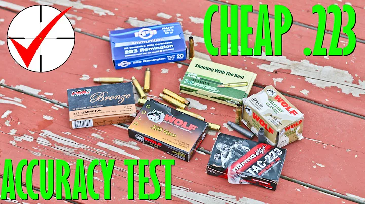 Budget .223 Ammo Test in an AR15 (Norma, Wolf, PMC...