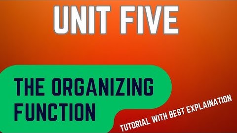 Introduction To Management Unit Five Tutorial