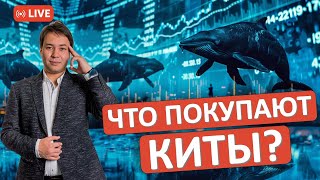 Что покупают и продают крупные игроки на биржах США