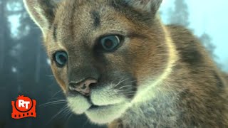 A Dogs Way Home - Playing In The Snow Scene