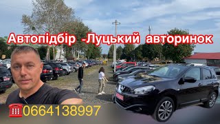 Skoda Octavia 1,6 Mpi / Nissan Qashqai BOSE На Луцькому авторинку . #автопідбір #підбіравто