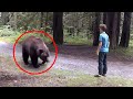 30 scariest bear encounters ever caught on camera