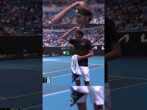 Pauvre Zverev qui se prend un petit cadeau de la part d'un oiseau #shorts #short