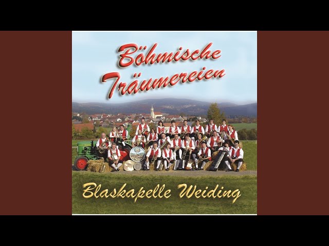 WIESBACHER MUSIKANTEN - Schöne Serenade