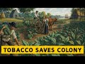 federal tobacco law Did you know Wisconsin is 1 of just 6 states that has not passed a state law  to align with the federal Tobacco 21 law? While federal law prohibits the  sale of