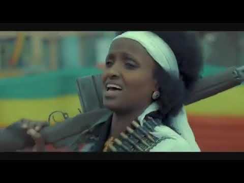 ቪዲዮ: ነዛሪ እንዴት እንደሚመረጥ