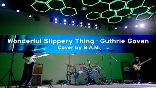 Wonderful Slippery Thing - Guthrie Govan Cover By B.A.M