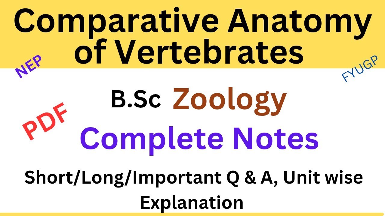 Comparative Anatomy of Vertebrates | B.Sc Zoology | Sem 4/2nd Year | Important Question Answer
