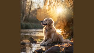 Peaceful Brookside Chorus Melodies
