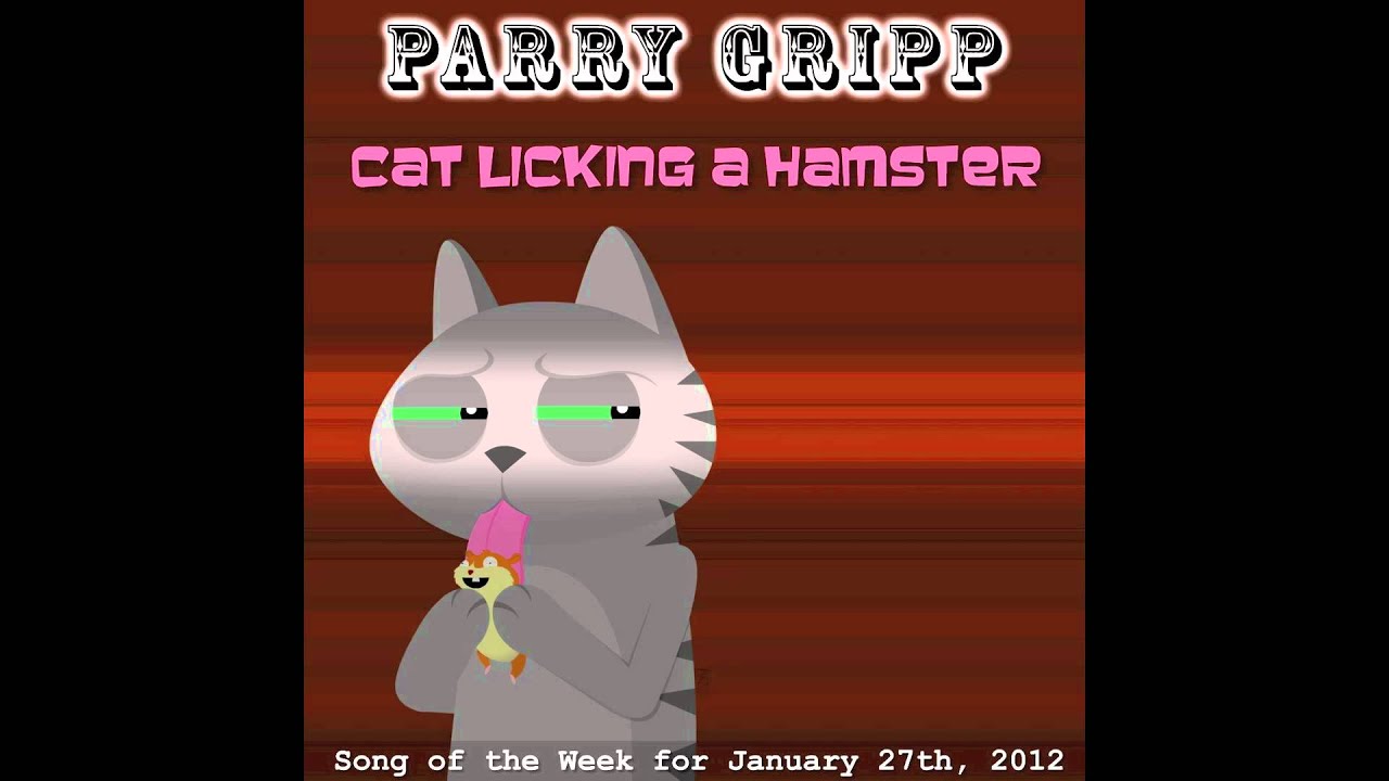 Cat Licking A Hamster Parry Gripp YouTube