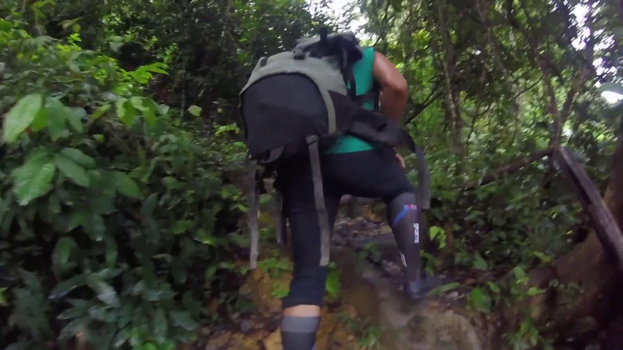 AWESOME ADVENTURE IN THE JUNGLE !