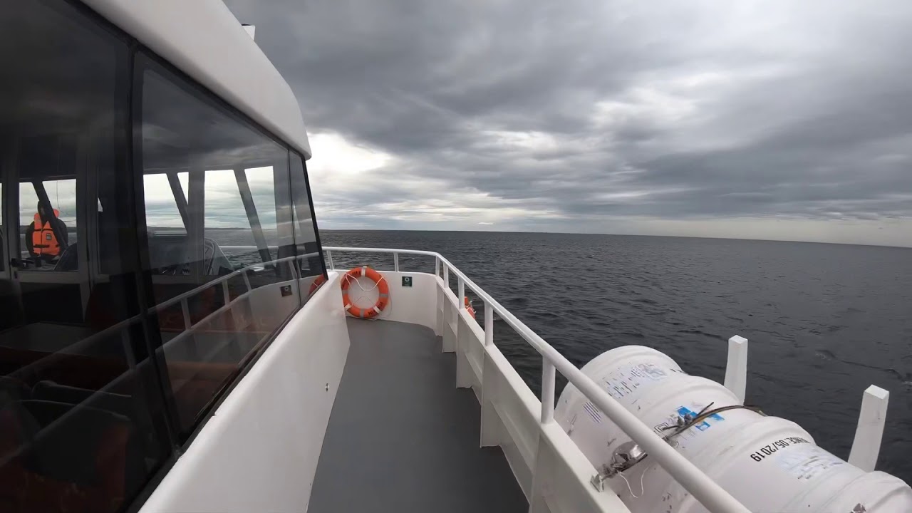 Visiting Isla Magdalena with thousands of Magellan Penguins
