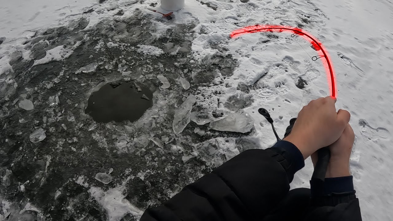 Pierwszy lód 2025 i wielkie ryby ! Wędkarstwo podlodowe