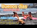 Adiós Calima Puerto de la Cruz Tenerife Canary Islands Teneriffa Kanarische Inseln Canarias