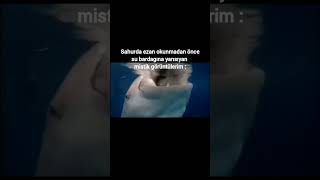 Iftarda Ve Sahurda Yansıyan Görüntülerim