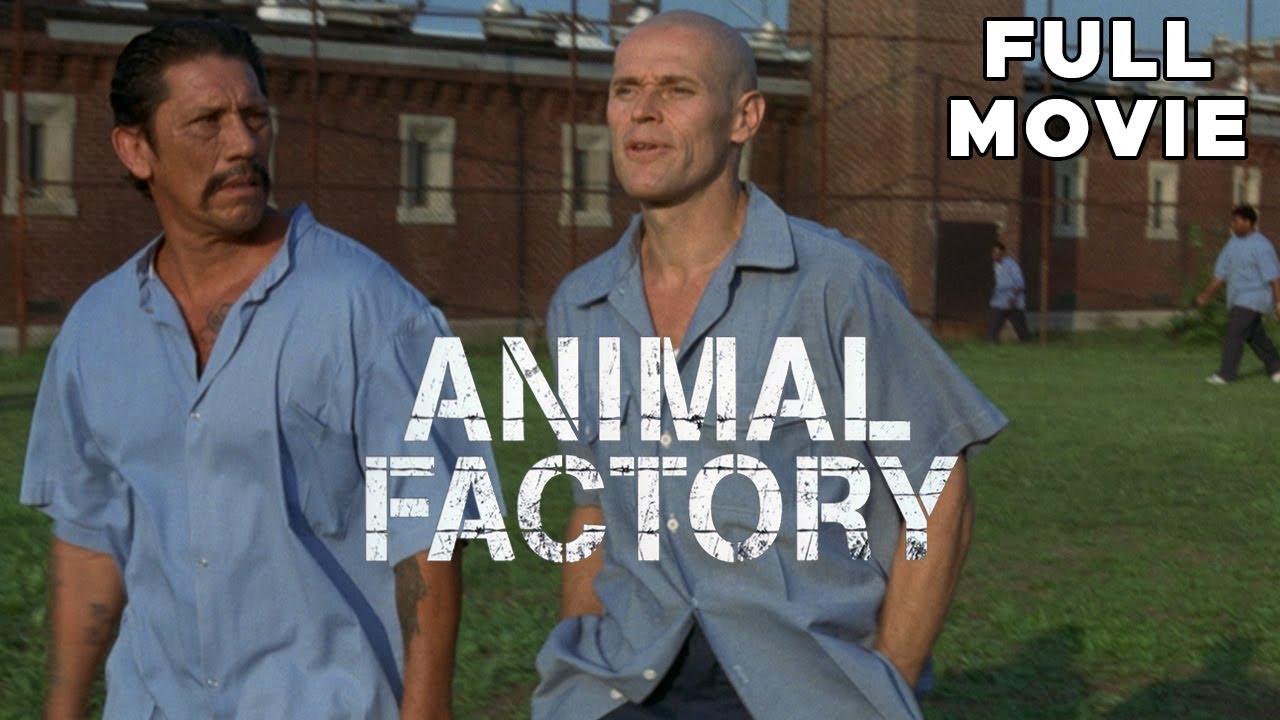 Animal Factory