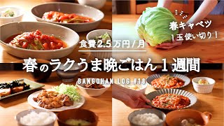 【1週間の夕飯】旬のキャベツをおいしく使う晩御飯｜まとめ買いから5日間の献立｜簡単レシピ【二人暮らし料理動画】