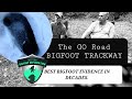 The go road bigfoot trackway   best evidence in decades