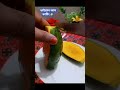ভাইরাল আম কাটিং 🥭 #mango #cutting #everyone #tricks #trending #comment