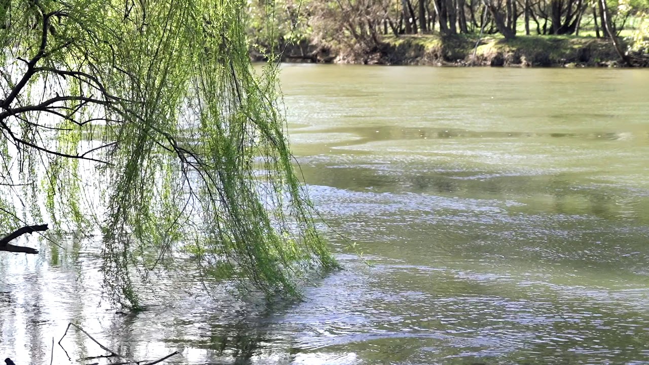 333 Doctors Point Road, East Albury Real Estate Auction YouTube