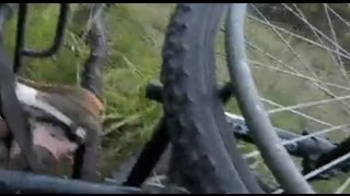 Wheelchair FAIL FALLING down hillside - Camping USA Road Trip vLog 32
