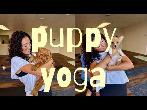540: Puppy Yoga in Blacksburg