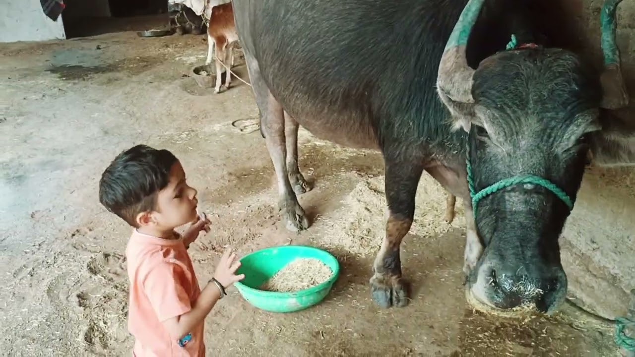 डॉक्टर 👍❤️💯🤩🤩