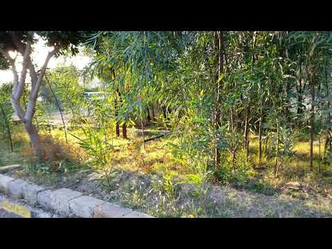 حصرياً أبيات شعرية إهداء إلى الفنان الكبير أيوب طارش عبسي _كلمات الشاعر نبيل الصلوي _إلقاء/ملاك فتحي