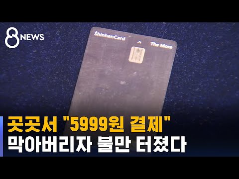 &quot;5999원씩 나눠 긁어주세요&quot;…카드사도 소비자도 뿔났다 / SBS 8뉴스