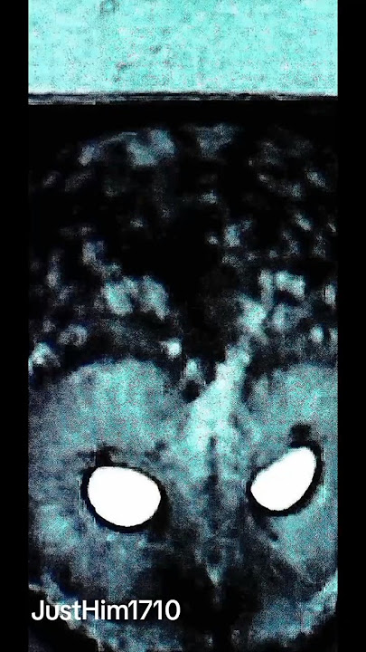 JustHim 1710 (The Magic Begins Here)