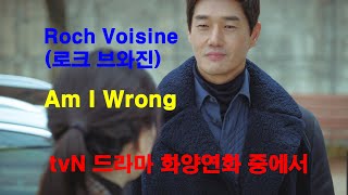 Watch Roch Voisine Am I Wrong video