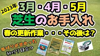 【芝生作業】3月・4月に行った事。5月に行う予定の芝生作業です。春の更新後の芝生の状態を見てください。ちょっと想定とは・・・