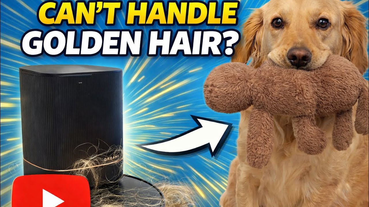 Сравнение шерсти золотистого ретривера и Dreame X40 Ultra! Тест с использованием натуральной шерс...