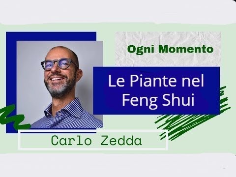 Video: Quali Piante Mettere In Casa Nel Feng Shui