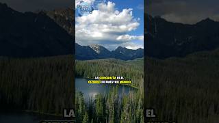 ¿Qué Es La Geografía? ¡Descubre Las Maravillas De Nuestro Mundo En 25 Segundos! #geografía ¿Qué Es La Geografía? ¡Descubre Las Maravillas De Nuestro Mundo En 25 Segundos! #geografía