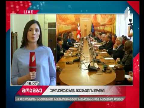 ევროპარლამენტის დელეგაციის წევრები საპარლამენტო უმცირესობას ხვდებიან