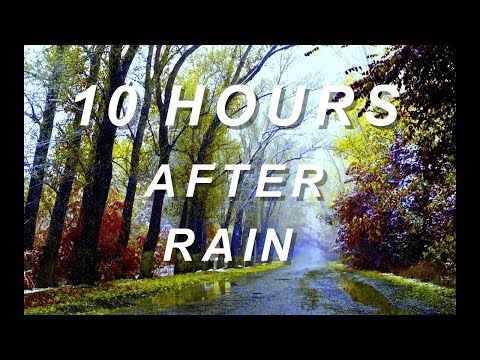 After Rain - Relaxing Nature Sounds 10 Hours