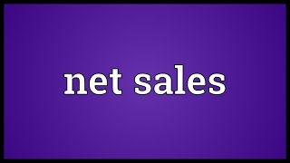 Net sales Meaning